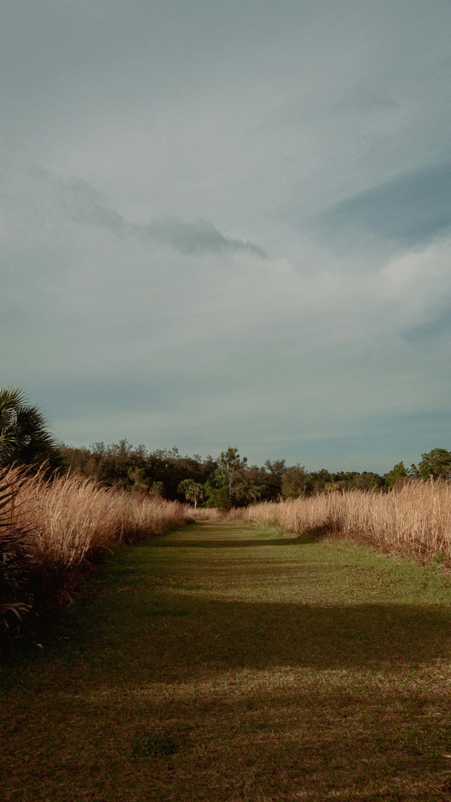Exploring the Wildlife of Blue-Flower Eco Reserve
