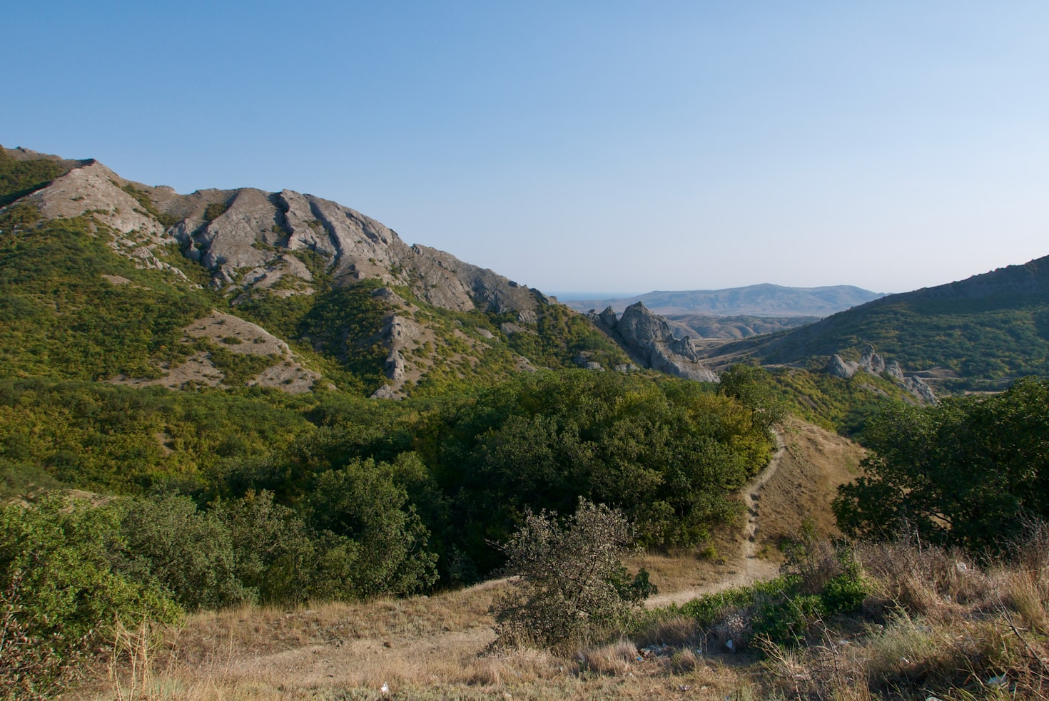 The Role of Nature Reserves in Environmental Protection